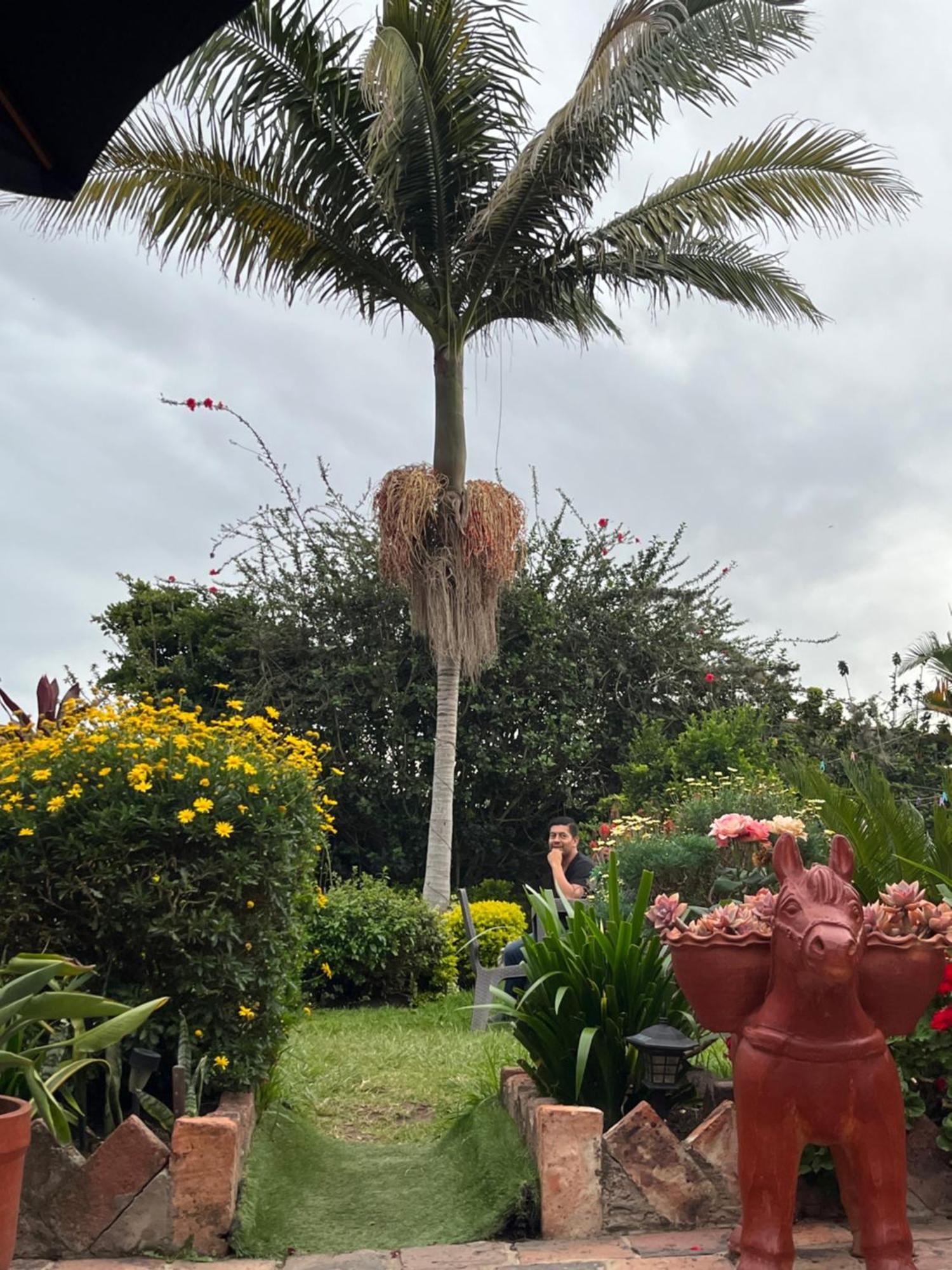 Hospederia Colonial De 莱瓦镇 外观 照片